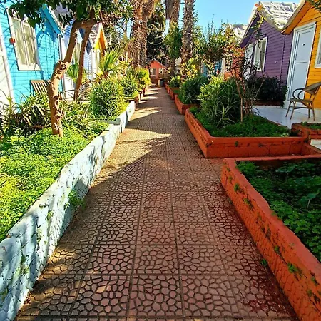 Bali * Eskiomerler